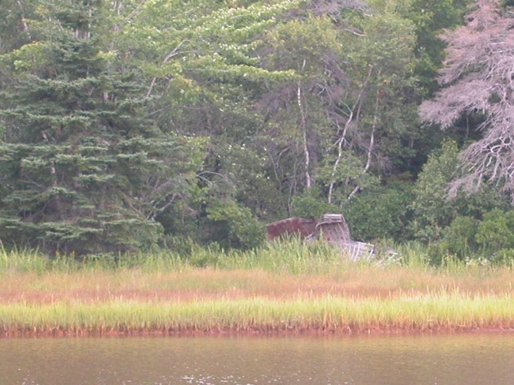 Waterview B&B Pictou Exteriör bild